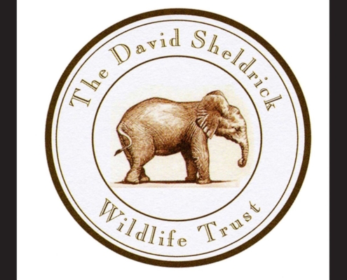 david-sheldrick-wildlife-trust_for_web