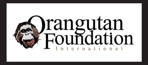 orangutan-foundation_for_web