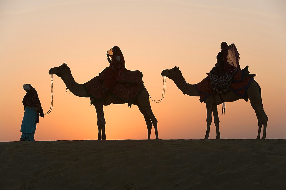 Rajasthani dancers riding on camels