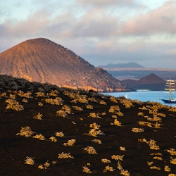 Sailboat in Sullivan Bay