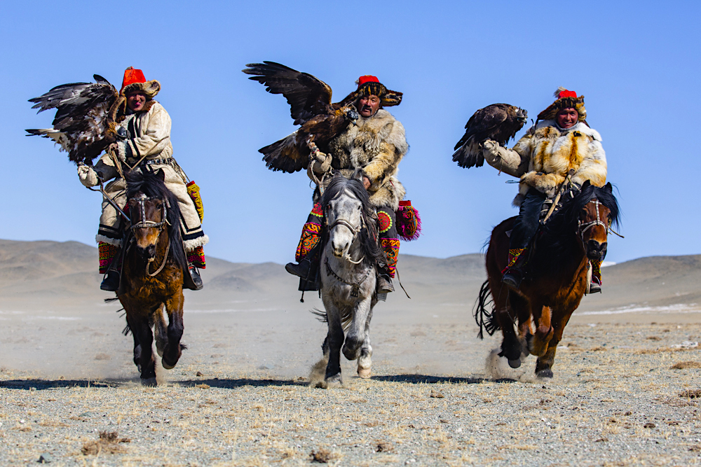 Eagle hunters with their golden eagles galloping on horseback