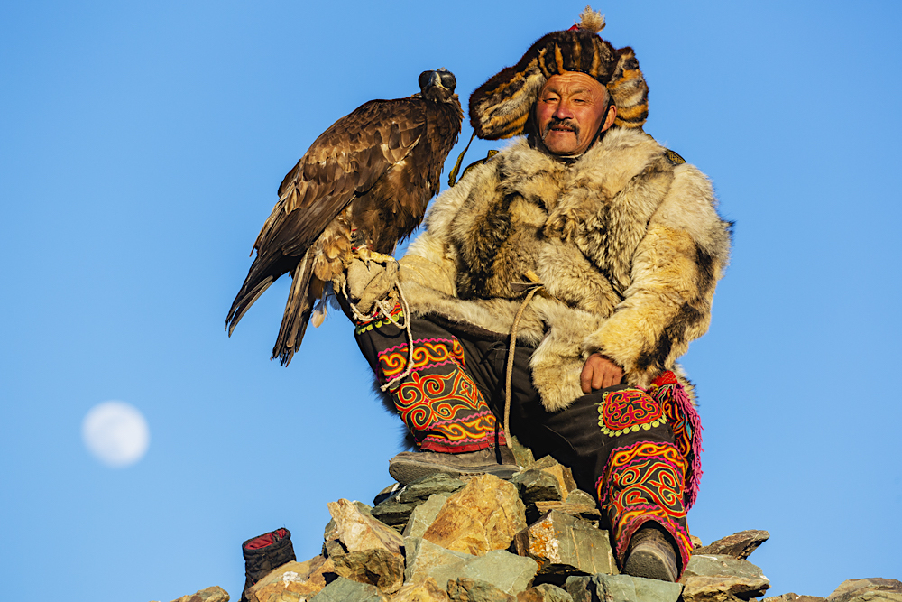 A golden eagle Master holding his golden eagle early in the morning with a full moon