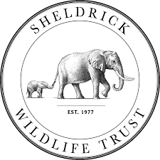 david sheldrick wildlife trust