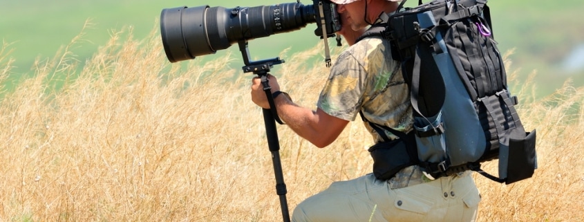 wildlife and photo expeditions