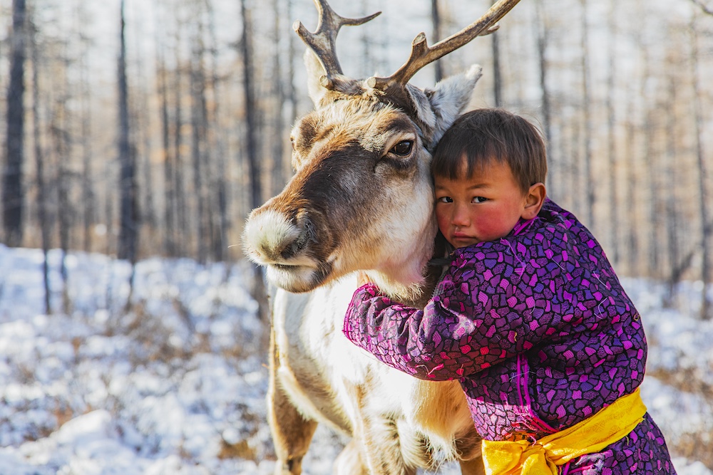 A Tsaatan boy hugging a reindeer