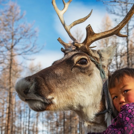 A Tsaatan boy hugging a reindeer