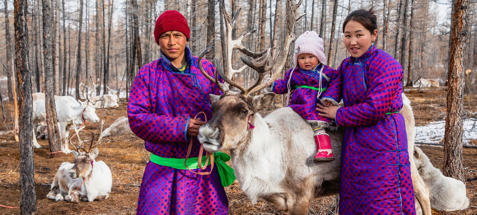 A Tsaatan herder family together with their reindeer